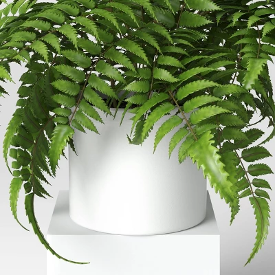 Boston Fern - Threshold™ - Image 3